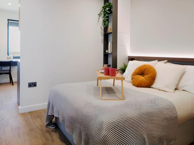 Roomy 3 Studio