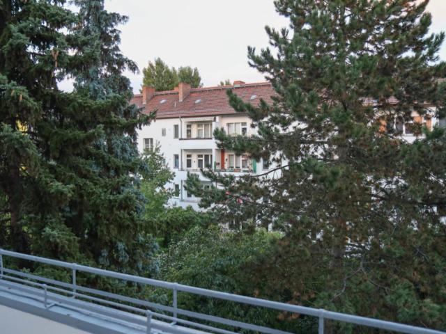 Roomy and bright single room in Britz