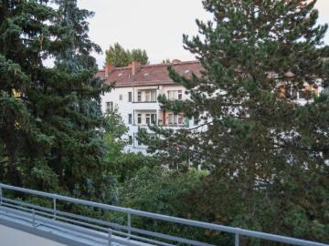Roomy and bright single room in Britz