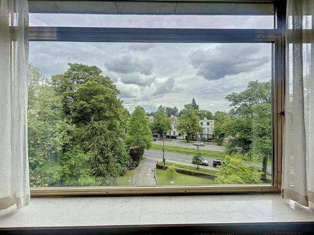 Roosevelt / Bois de la Cambre: Beautiful apartment + terrace