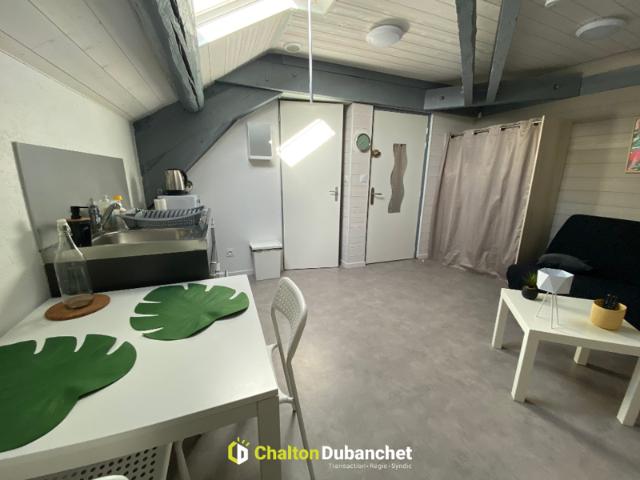 ROANNE STUDIO MEUBLE de 15 m²