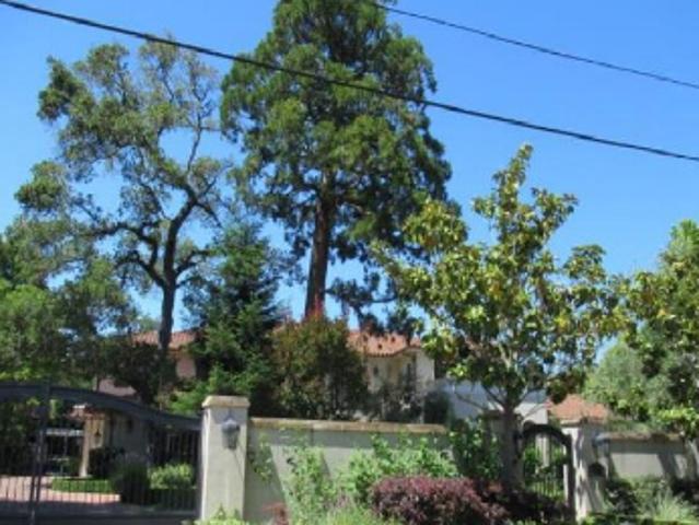 Roblar Ave