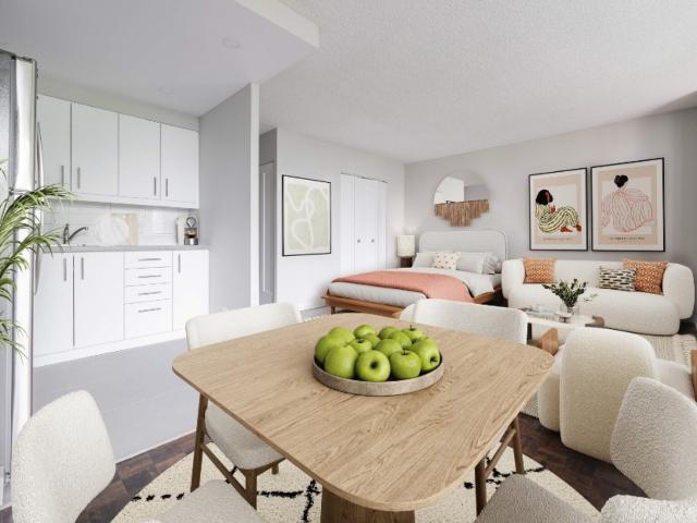 Rockhill Apartments Studio Suites Renovated Apartment for Rent