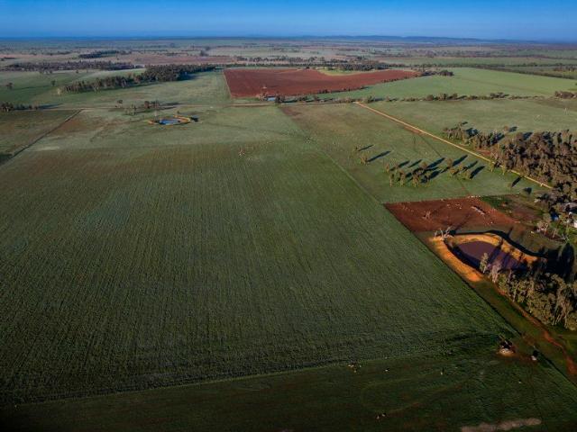 'Rockvale' Productive Mixed Farming with Outstanding Water Security