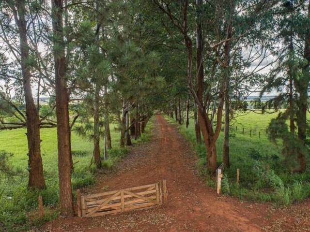 RODEADOR ALEXANDRE GUSMÃO FAZENDA 84 HECTARES ESCRITURADA COM MUITA ÁGUA