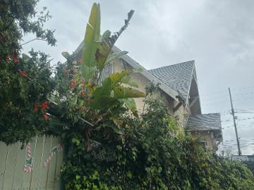 Rogers Ave