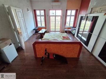 Frühlingserwachen in Bad Vöslauer Villa