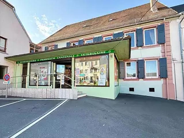 Rohrbach lès Bitche 57410 Achat / Vente maison 7 pièces t7 terrasse garage