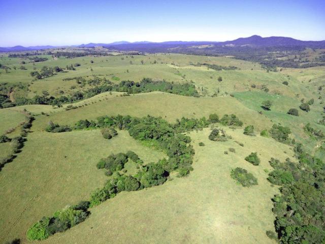 ROLLING GREEN HILLS