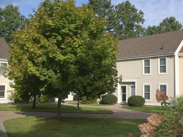 Rope Ferry Rd Unit A, Waterford, Home For Sale