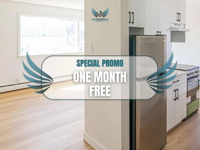 Rosedale Apartments 10959 97 St NW — 1 Bedroom Owl