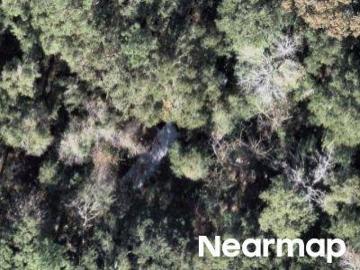 Wakulla County, Florida, USA