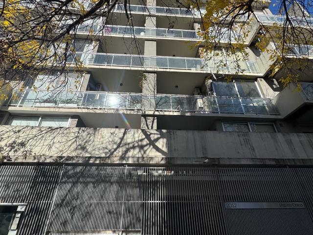 Roseti al 2000, Argentina