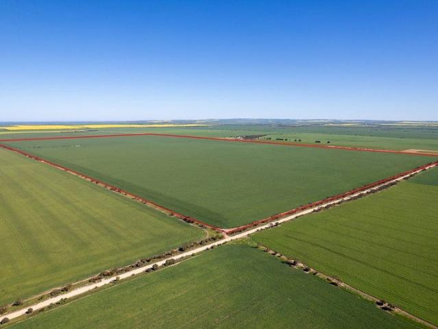 ROSS'S 222 Hectares of quality cropping country