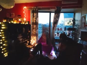 Wippolder, Delft, Zuid-Holland, Zuid-Holland