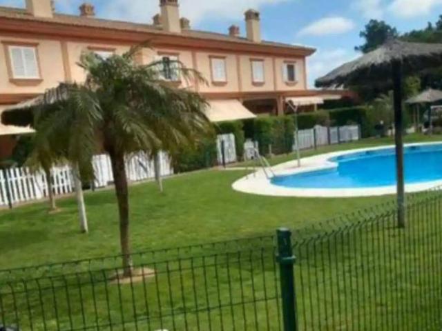 Rota