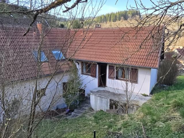 Rothau, grande maison individuelle avec logement indépendant