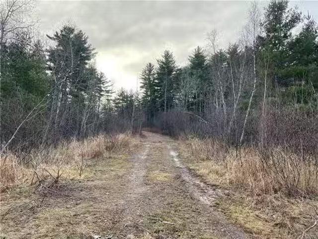 Route 105, Youngs Cove, NB, E4C 2C2 vacant land for sale.