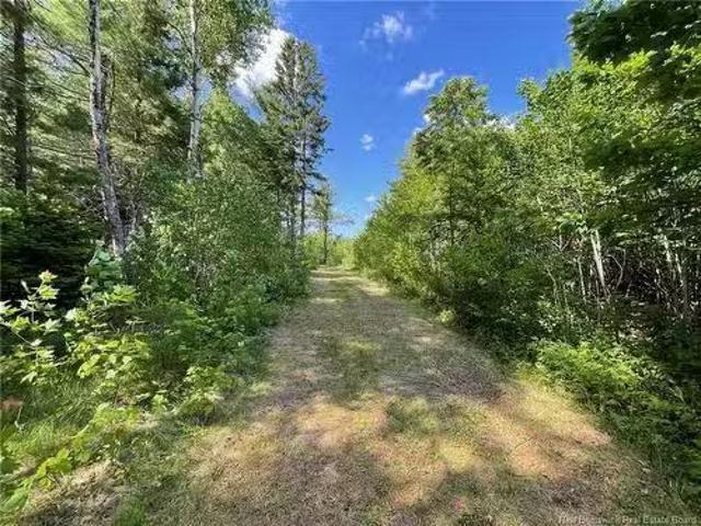 Route 11, Saint Margarets, NB, E1N 5C5 vacant land for sal.