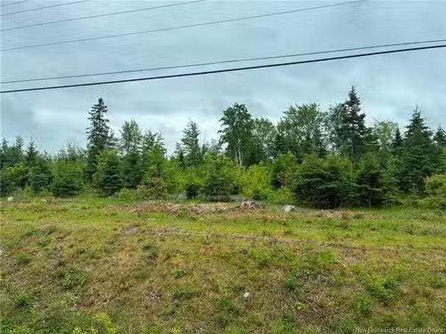 Route 17, Kedgwick, NB, E8B 1X2 vacant land for sale List.
