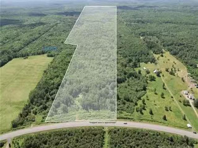 Route 180, South Tetagouche, NB, E2A 7E9 vacant land for s.