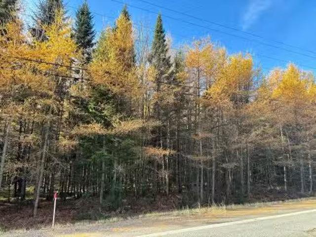 Route Du Petit Moulin, Saint Bruno De Kamouraska, QC, G0L 2M0.