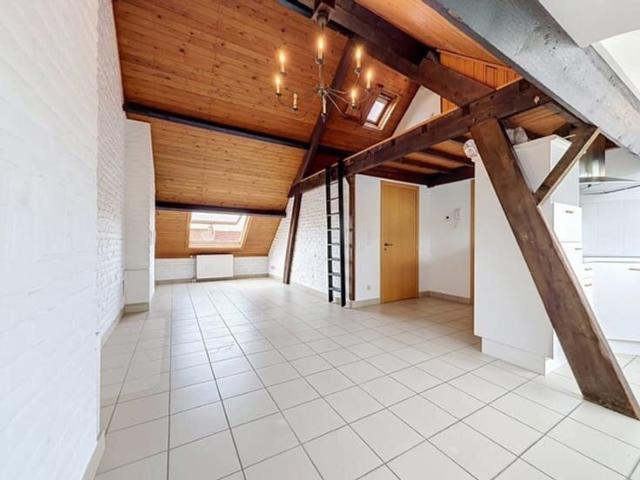 Rouge Cloître district – Beautiful one bedroom apartment