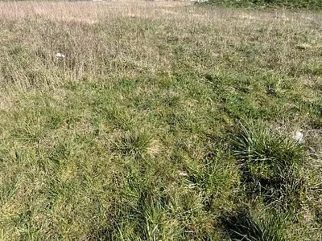 Rouillac 16170 Programme neuf maison neuf à vendre 2 pièces