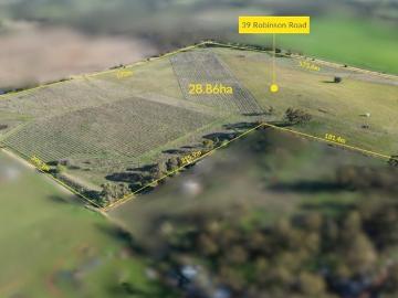Rows of Vines and Rural Possibilities on Robinson Road!