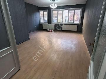 Sacır Sokak, Bey Mahallesi, Gaziantep, Şahinbey, Kilis ili, Güneydoğu Anadolu Bölgesi