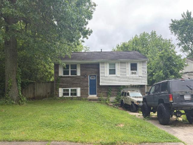 Roxanna Dr