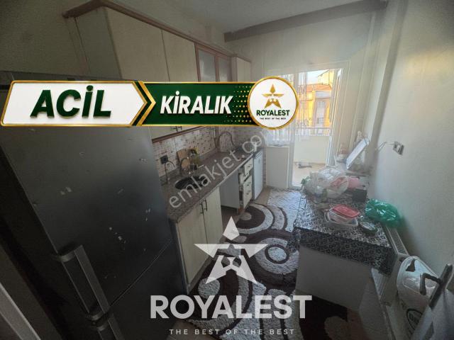 Royalest'ten Tam Size Göre