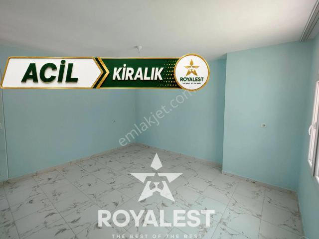 Royalest'ten Daha Uygunu Yok