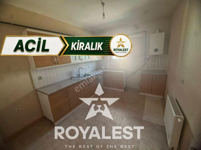 Royalest'ten Renkli Tokilerde Merkezi Konumda