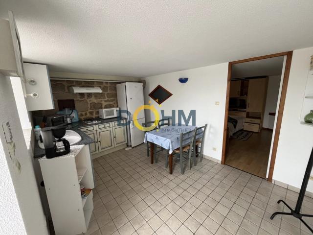 Rozier Côtes D'Aurec: appartement avec petite terrasse en l