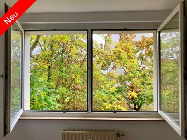 rstbezug nach Kernsanierung: Helle 2 R Wohnung mit West Licht unter1.000 €/m²!