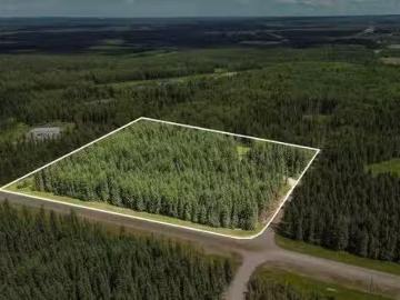 Rr171 North Of Hwy 748, Rural Yellowhead, AB, T7E 3L1 vacant.