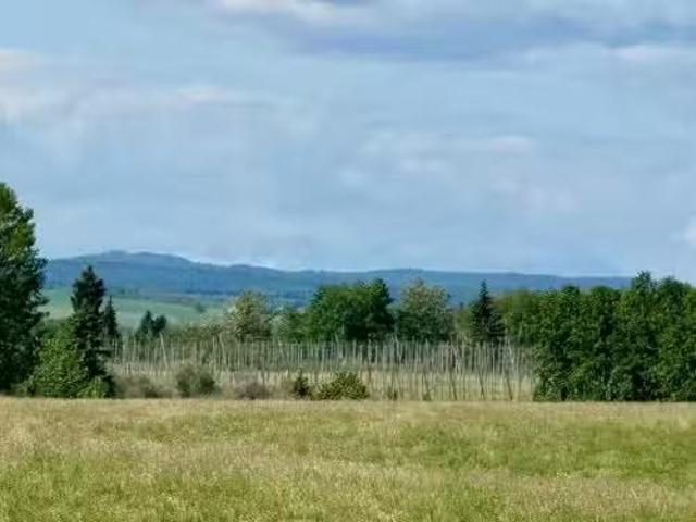 Rr40 South Of Twp Rd 293, Rural Mountain View County, AB, T0M.