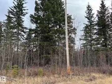 Rr 210 Twp Rd 605, Rural Thorhild County, AB, T0A 0A0 vacant.