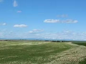 Rr 262, Rural Vulcan County, AB, T0L 0L0 vacant land for sal.