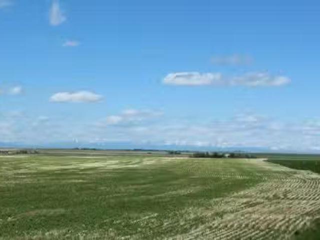 Rr 262, Rural Vulcan County, AB, T0L 0L0 vacant land for sal.