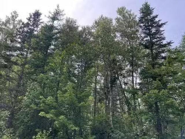 Rte 12 Tyne Valley, Tyne Valley, PE, C0B 2C0 vacant land for.