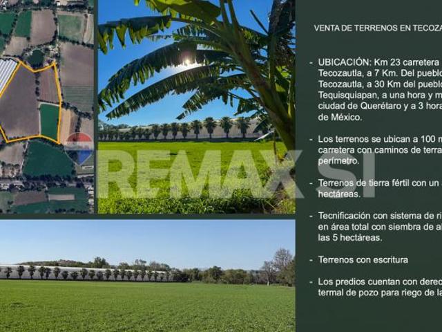RTVF TERRENO EN VENTA USO AGRÍCOLA EN TECOZAUTLA HIDALGO