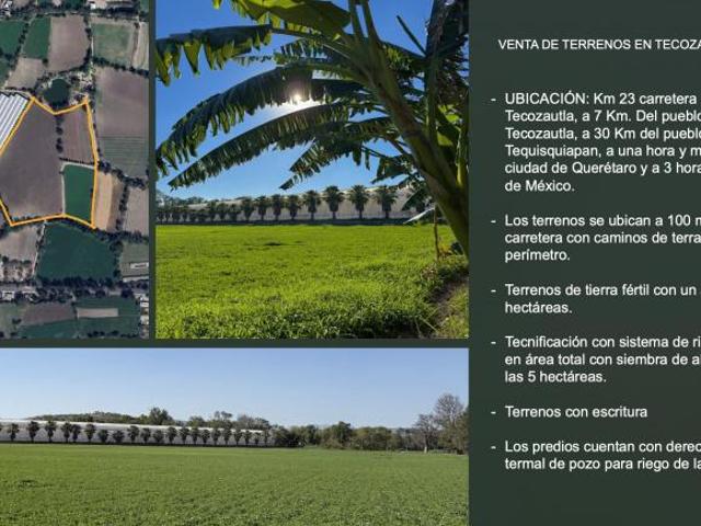 RTVF TERRENO EN VENTA USO AGRÍCOLA EN TECOZAUTLA HIDALGO