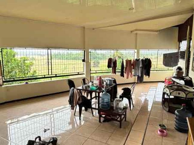 Rumah View Sawah di Jalan Merapi Ujung Panorama Singaran Pati Bengkulu
