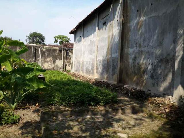 Rumah Burung Walet Hit Tanah Mojokerto, Hadap Selatan, Nett
