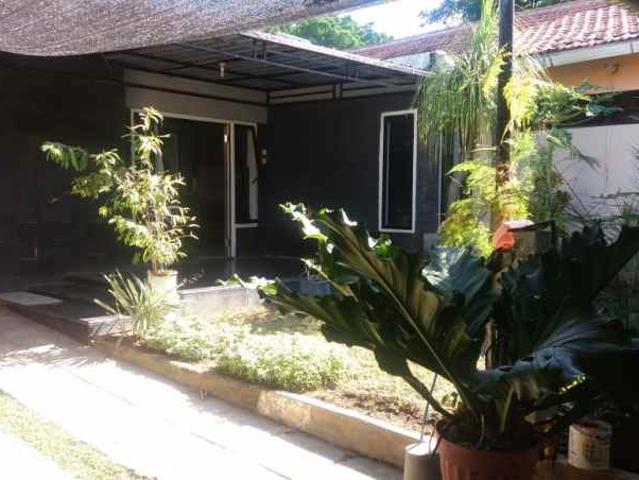 Rumah Luas 1516 Tepi Jalan Sunan Ampel Pasuruan Kota