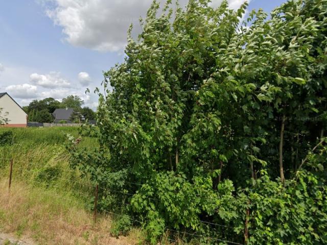 Rumaucourt Vente Maison 62