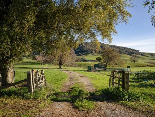 Running Creek Farm