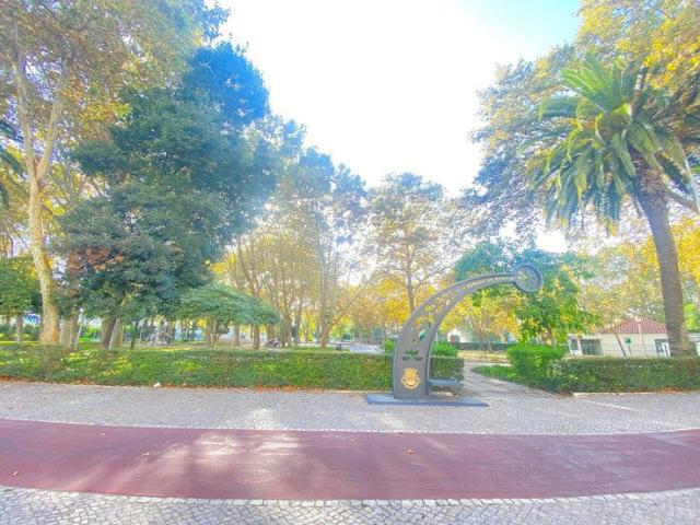 Rua Almeida Garrett 51